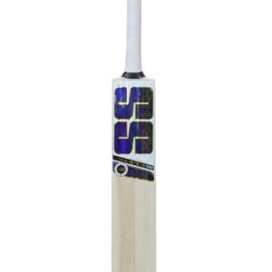 SS Master 100 Kashmir Willow Cricket Bat