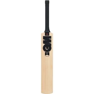 GM NOIR DXM SIGNATURE TTNOW English Willow Cricket Bat
