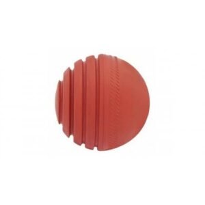 Cricket wobble Ball