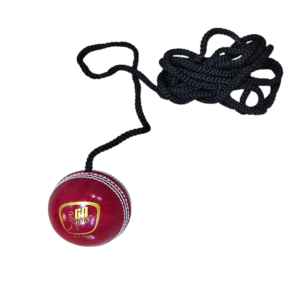 GA Cricket Batting Master Hanging/Training Ball