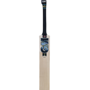 GM AION DXM LE English Willow Cricket Bat