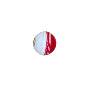 GA Prosoft Cricket Ball