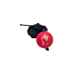 GA Cricket Hanging Ball Semi Leather